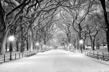 Jameela Danai - Central Park, NY Covered In Snow  