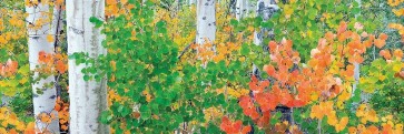 Dennis Frates - Forest Colors