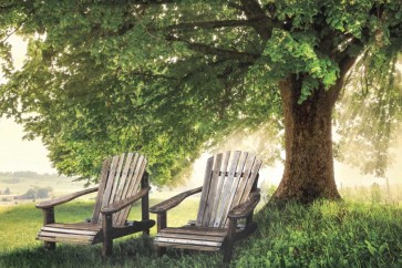 Celebrate Life Gallery - Made In The Shade 