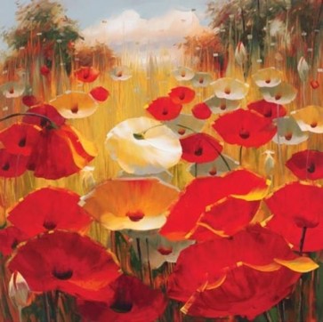 Lucas Santini - Meadow Poppies III  