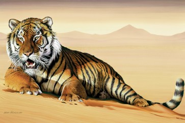Tiger - Bed of Sand