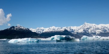 Vincent Larrie - Icebergs  