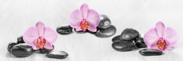 Omar Olavie - Pink Orchids and Zen Stone  