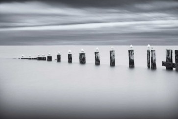 Chris Tennant - Stilts And Gulls 