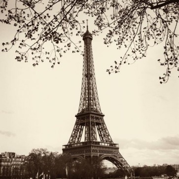 Alan Blaustein - Tour Eiffel  