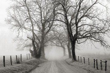 Nicholas Bell - Sparks Lane, Late Autumn