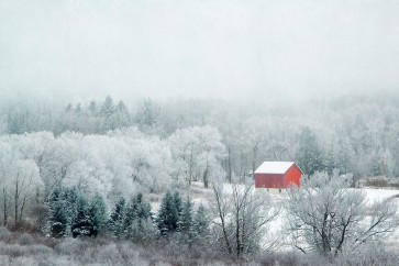 Brooke T. Ryan - Red Barn