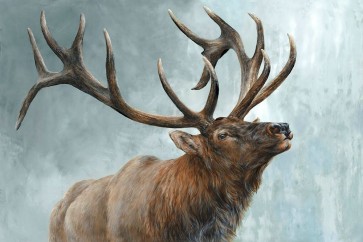 Dina Perejogina - Rising Bull Elk 