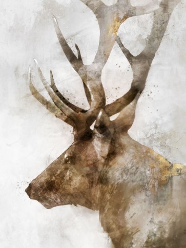 Ken Roko - Stoic Elk
