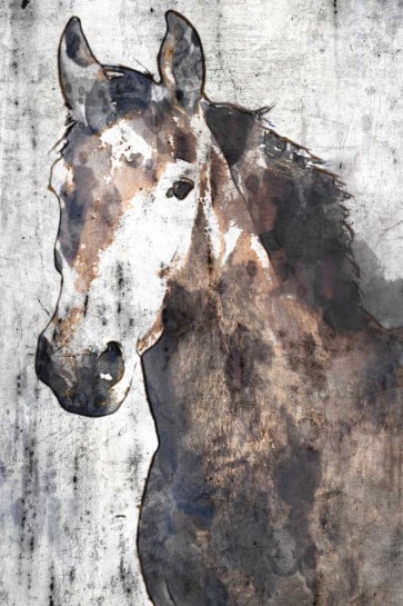 Irena Orlov - Horse Portrait I 