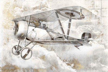 Roozbeh - Airplane II