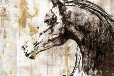 PI Studio - Equestrian Gold IV 