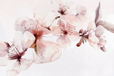 PI Studio - Watercolor Blossoms I