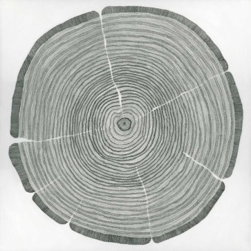 Sandrine Pellisier - Tree Lines  