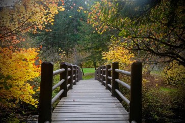 - Autumns Bridge 