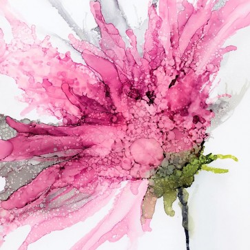 Wendy Kroker - Pink Spider Flower