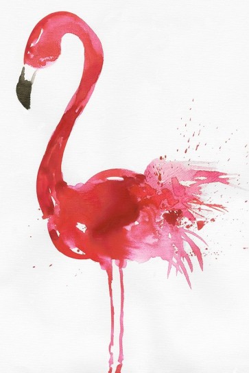Aimee Wilson - Flamingo Portrait I
