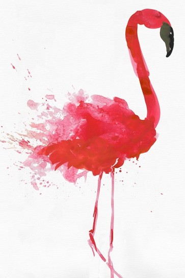 Aimee Wilson - Flamingo Portrait II