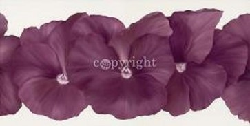 Yvonne Poelstra-Holzhaus - Violet Flower III 
