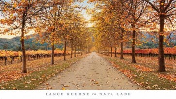 Lance Kuehne - Napa Lane  