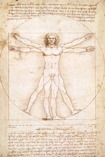 Leonardo Da Vinci - Vitruvian Man  