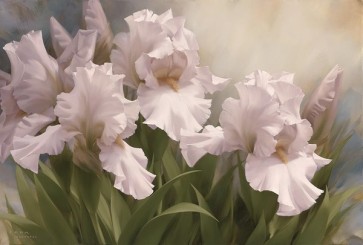 Igor Levashov - White Iris Elegance I