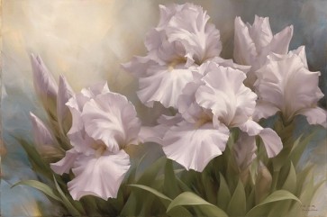 Igor Levashov - White Iris Elegance II