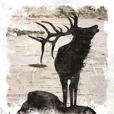 Carol Robinson - Birchbak Elk 