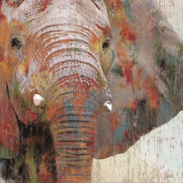 Nan - Paint Splash Elephant 