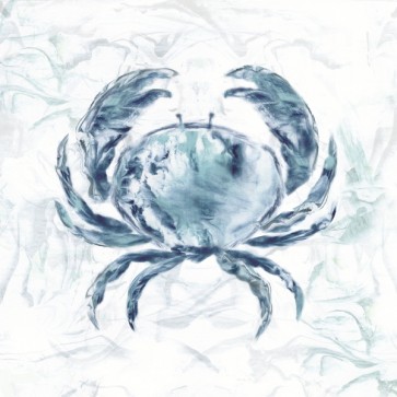 Nan - Blue Marble Coast Crab 