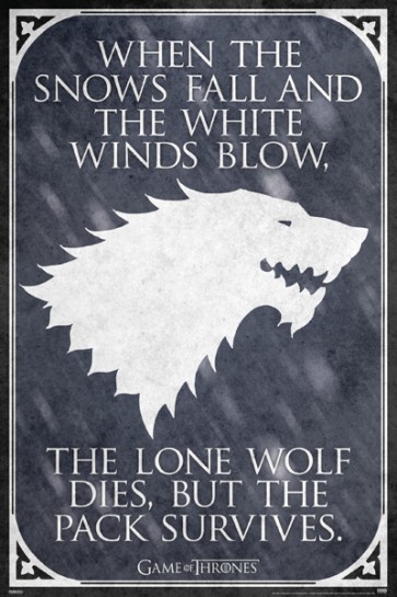 Game Of Thrones - House Stark Sigil 