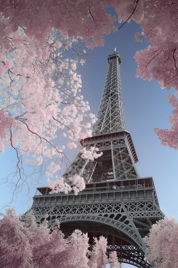 Paris - Infrared Eiffel-Tower  