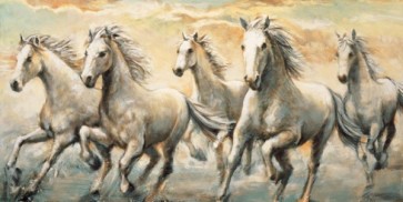 Ralph Steele - Wild Horses