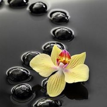 Black Zen Stones And Yellow Orchid 