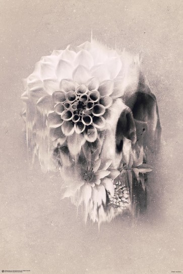 Ali Gulec - Decay Skull