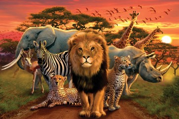 Jungle Animals