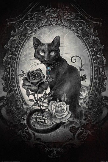 Alchemy - Mystical Cat
