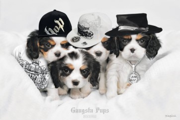 Keith Kimberlin - Gangsta Pups