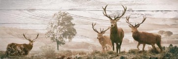 Deer - Mosaic on Barn Wood