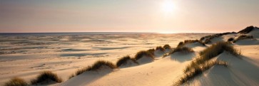 Sand Dunes - Sunny