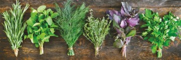 Herbs - Bouquet