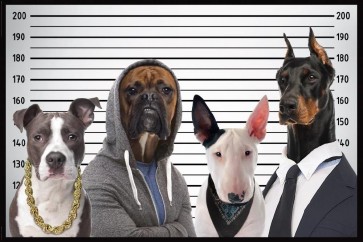 Dogs Lineup - Wanted Poster