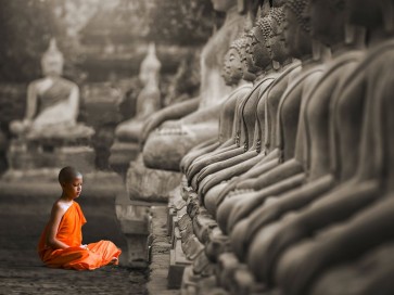 Pangea Images - Young Buddhist Monk praying, Thailand (BW)
