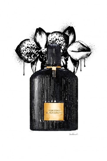Amanda Greenwood - Noir Perfume Orchid