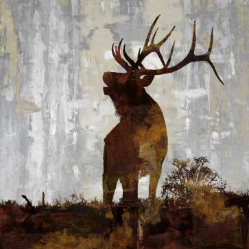 Carl Colburn - Elk
