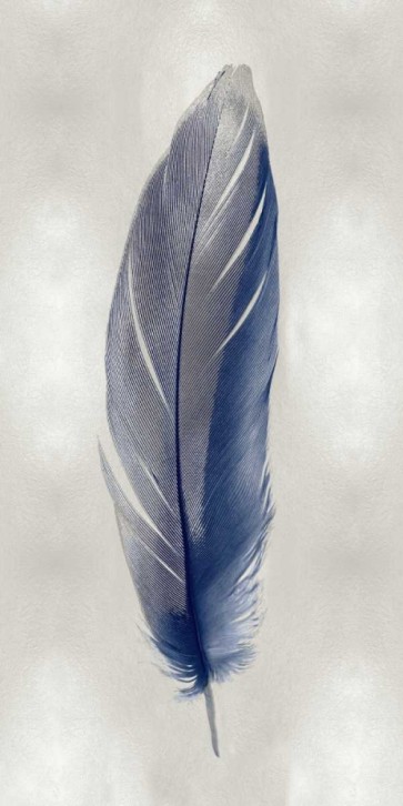 Julia Bosco - Blue Feather on Silver II