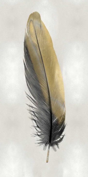Julia Bosco - Gold Feather on Silver I