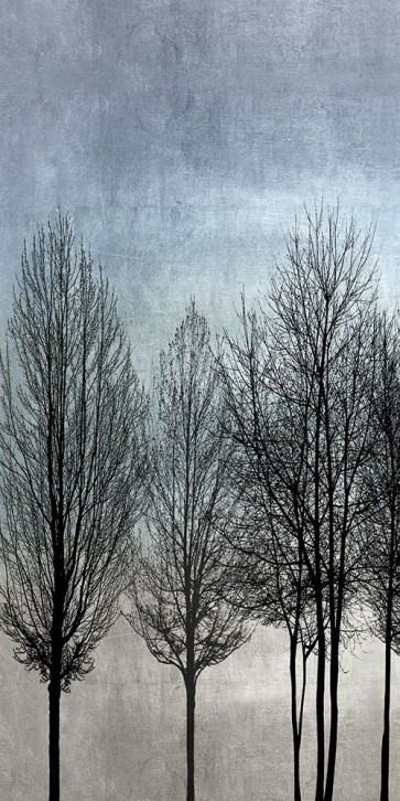 Kate Bennett - Tree Silhouette I