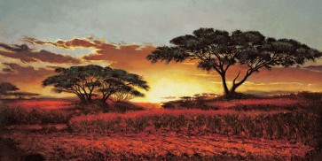 Madou - Memories of Serengeti