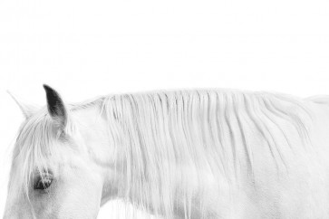 Samantha Carter - White on White